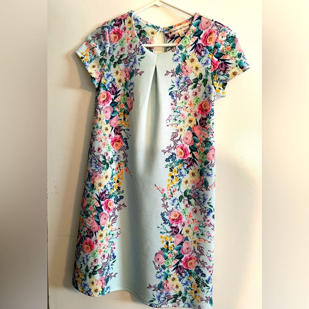 Poppies & Roses Floral dress. Girls size large.